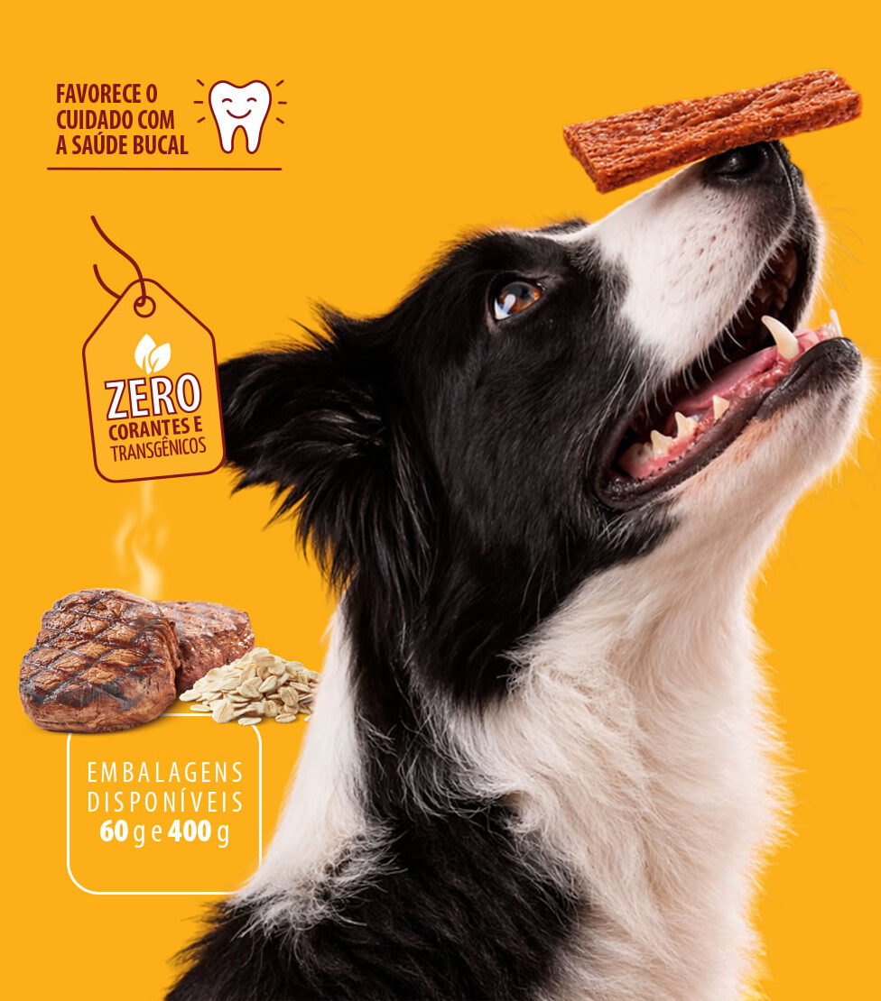 Bifinhos Premium para Cães | Petisco Saboroso e Nutritivo